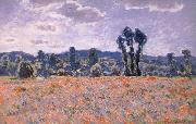 Claude Monet Poppy Field in Bloom oil painting picture wholesale